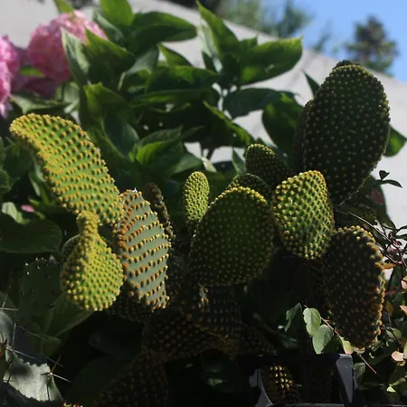 With A Parking Space Mali