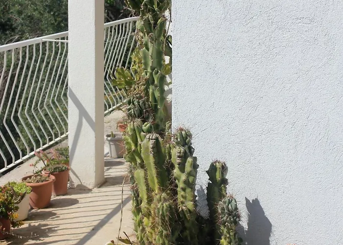 With A Parking Space Mali 3*